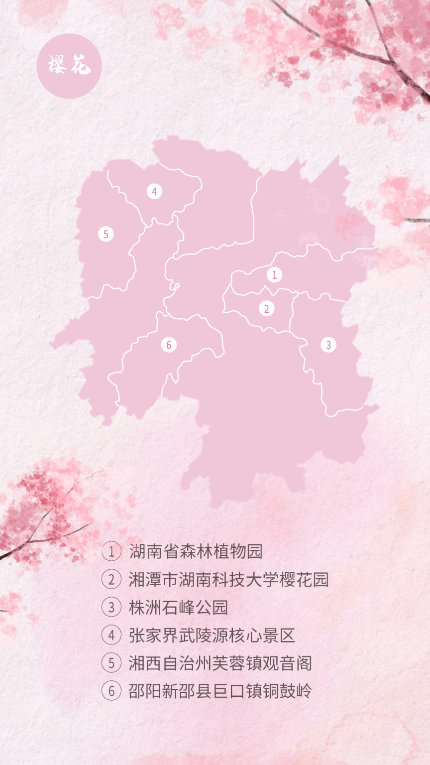 樱花.png